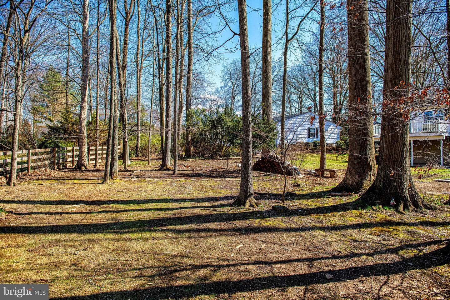 619 Ponderosa Drive photo 33