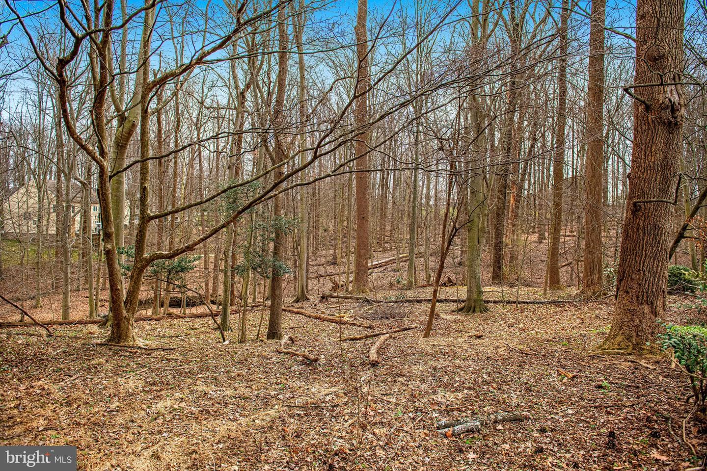 127 Briarcliff Lane photo 44