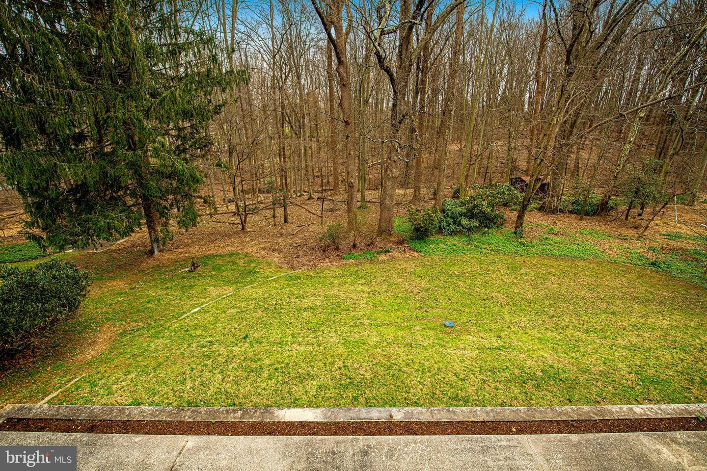 127 Briarcliff Lane photo 46
