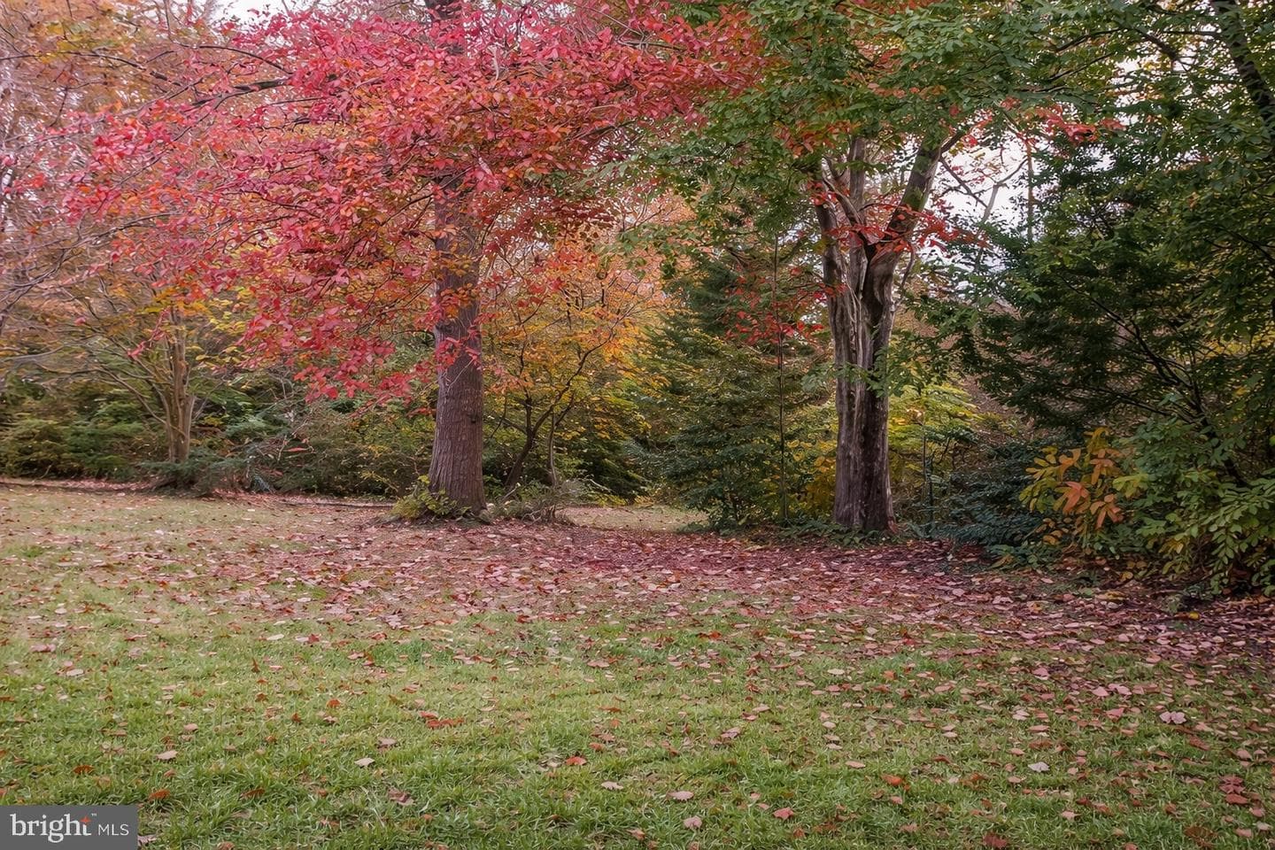 123 Philadelphia Road photo 37