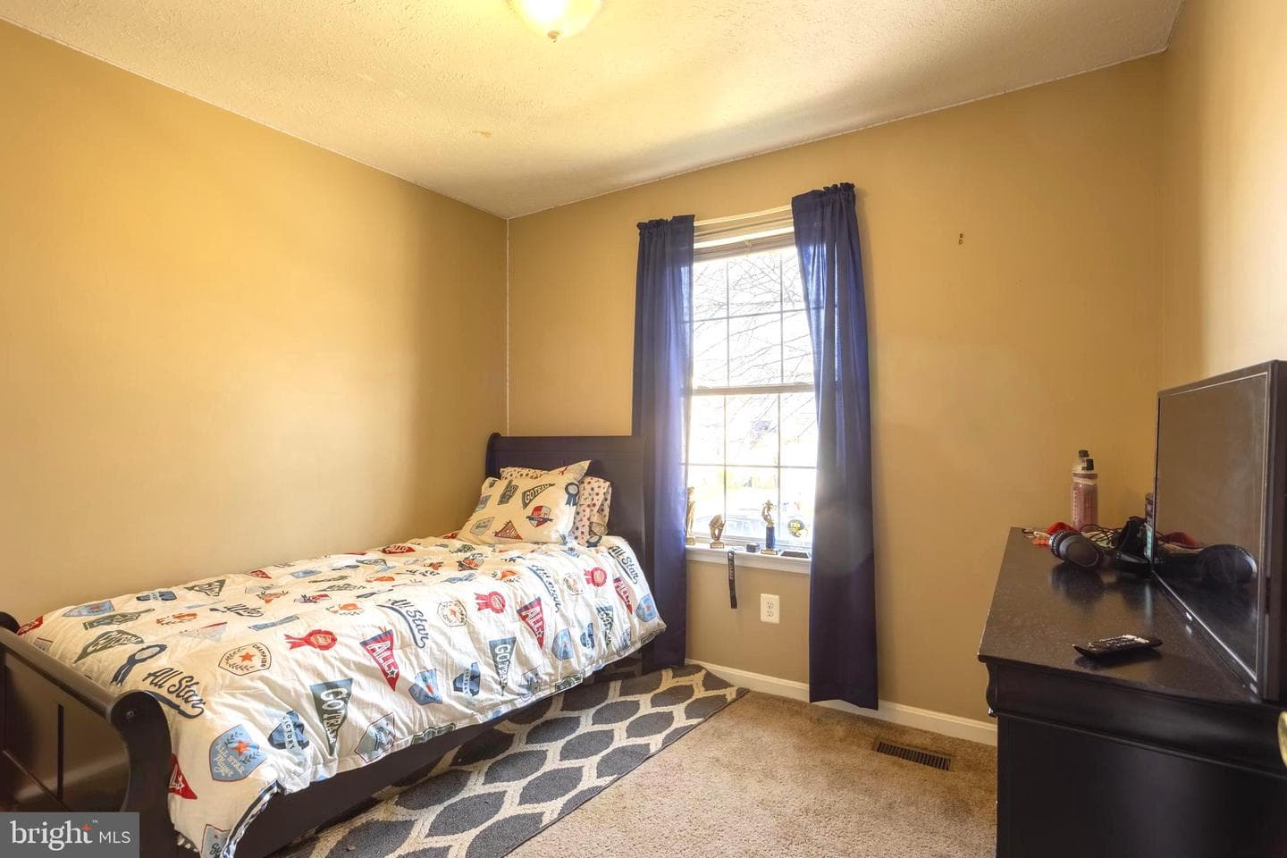 1113 Walnut Hill Court photo 21