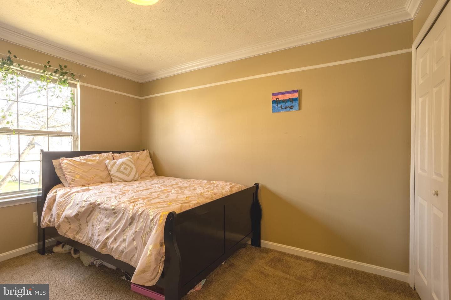 1113 Walnut Hill Court photo 23