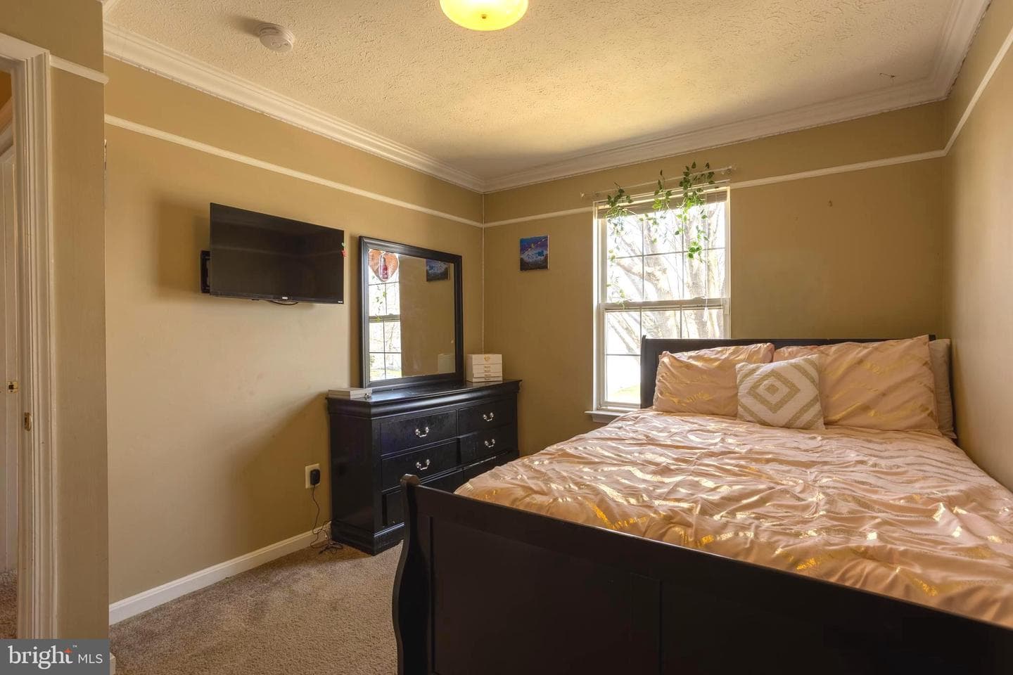 1113 Walnut Hill Court photo 24