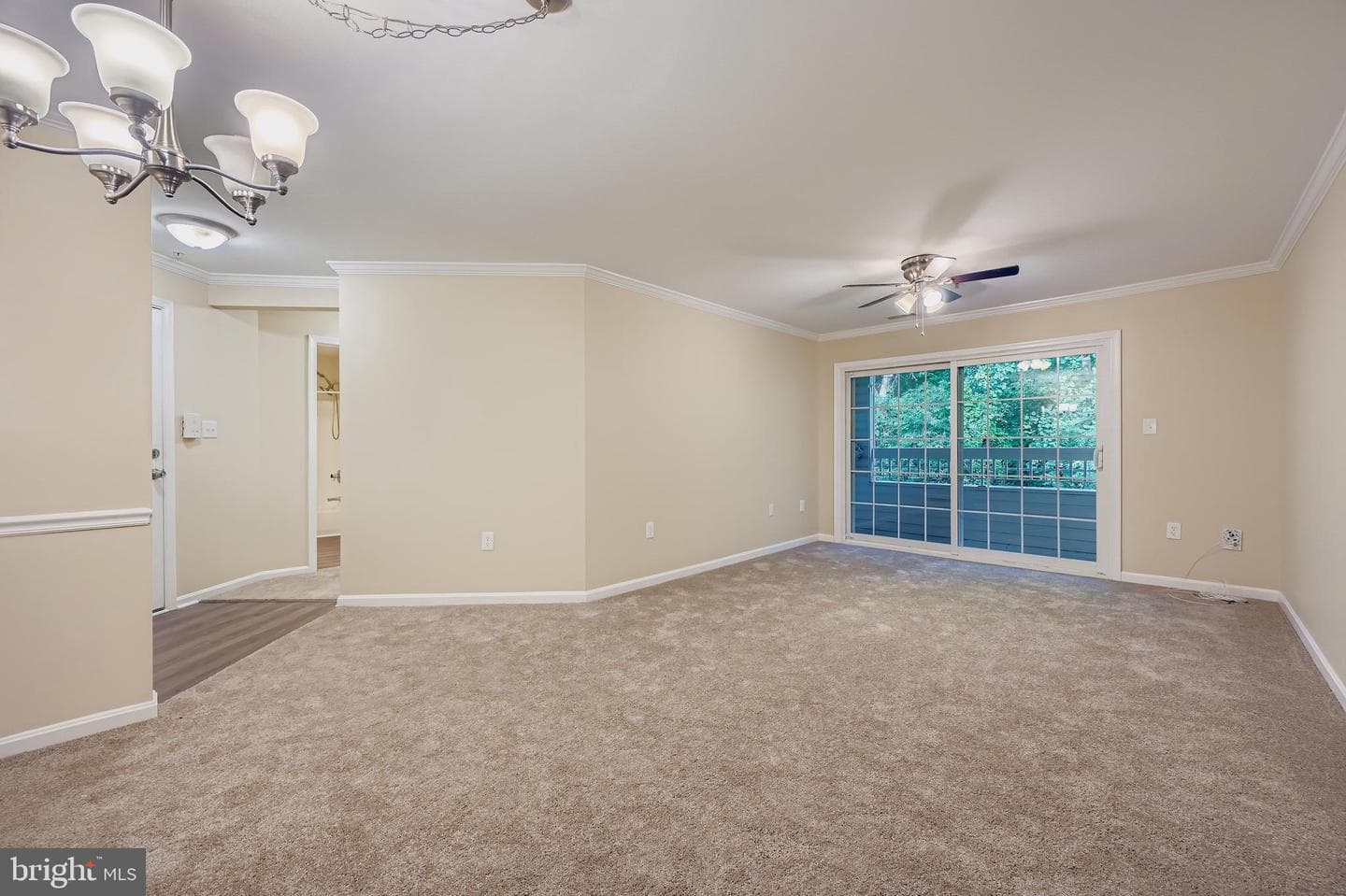 309 Tall Pines Court #7 photo 3