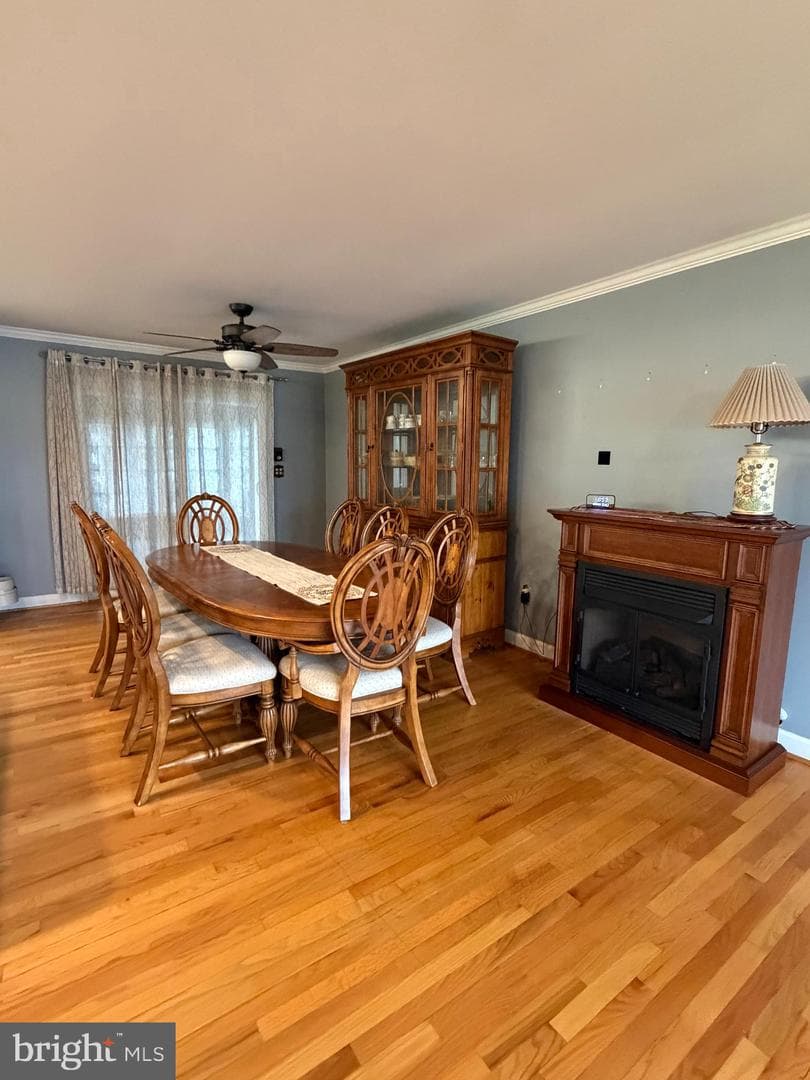 112 Shell Cove Ct photo 4