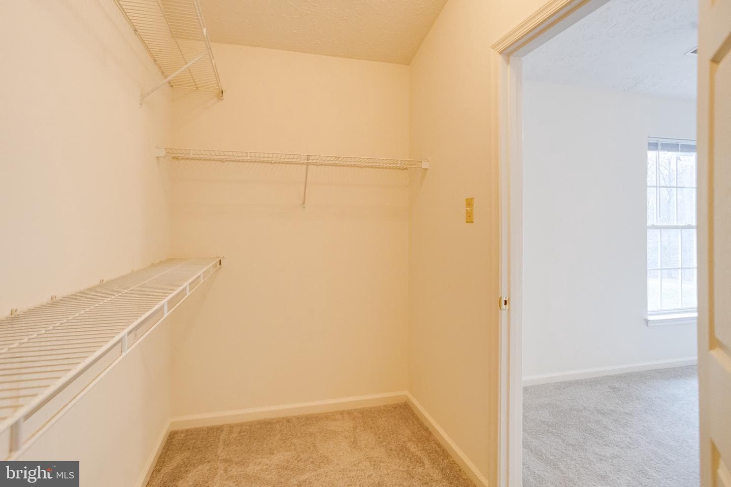4913 Paper Bark Road photo 30