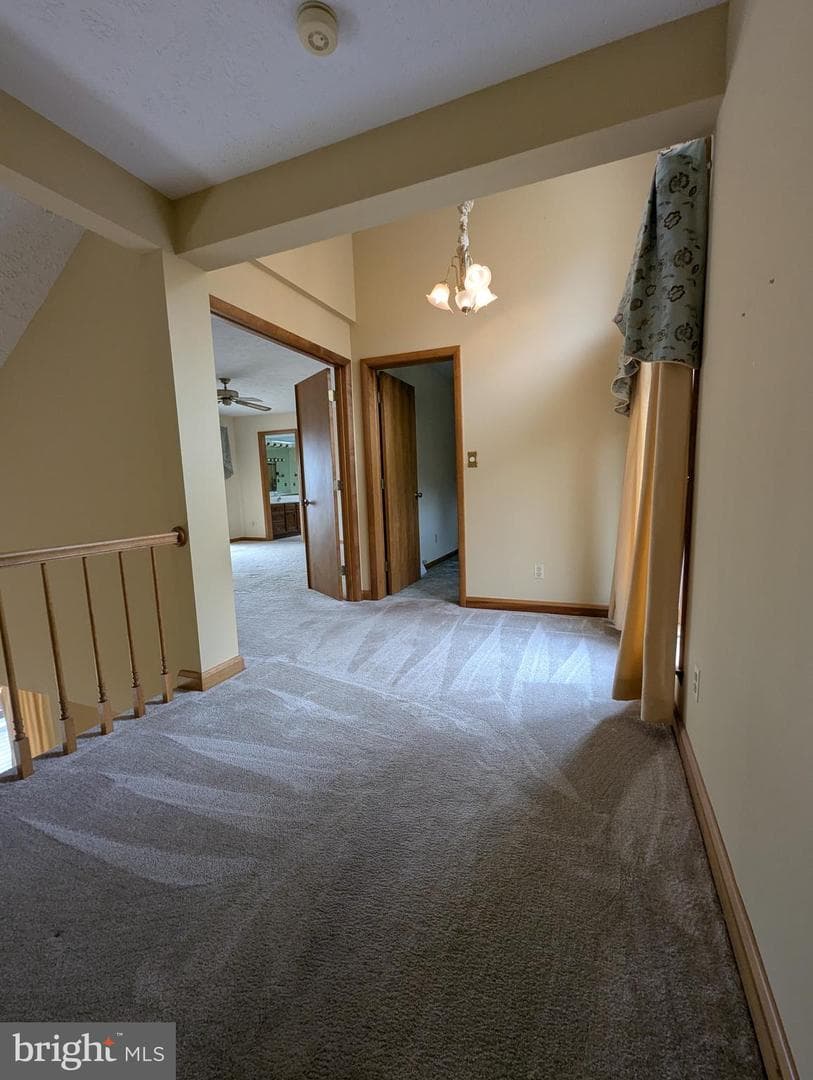 3729 Abingdon Beach Road photo 69