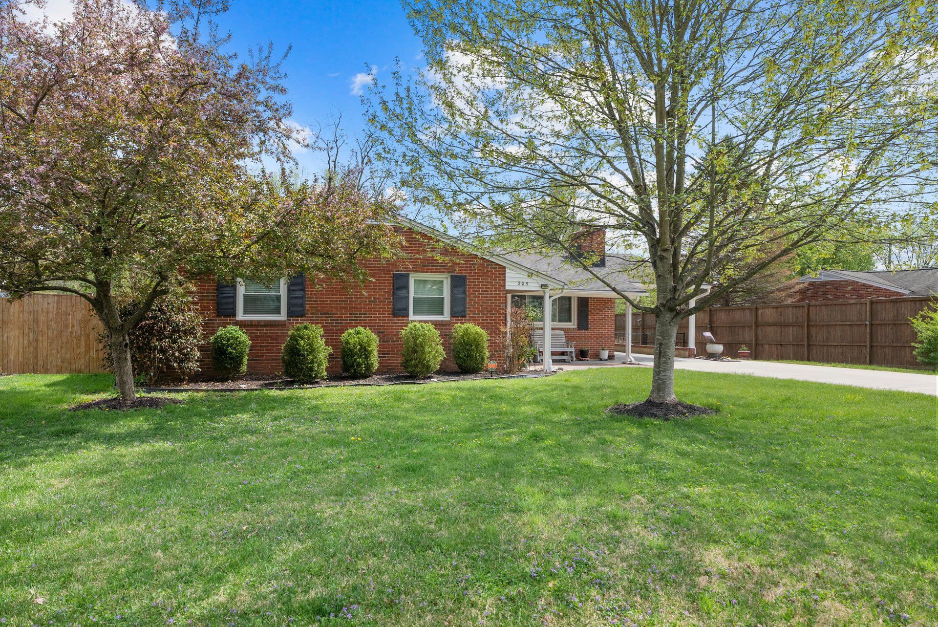 205 Marshall Drive photo 3
