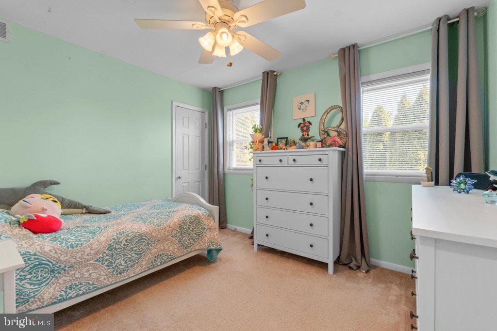 2036 Wetterhorn Drive photo 31