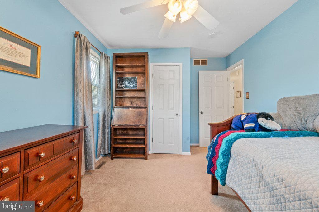 2036 Wetterhorn Drive photo 39