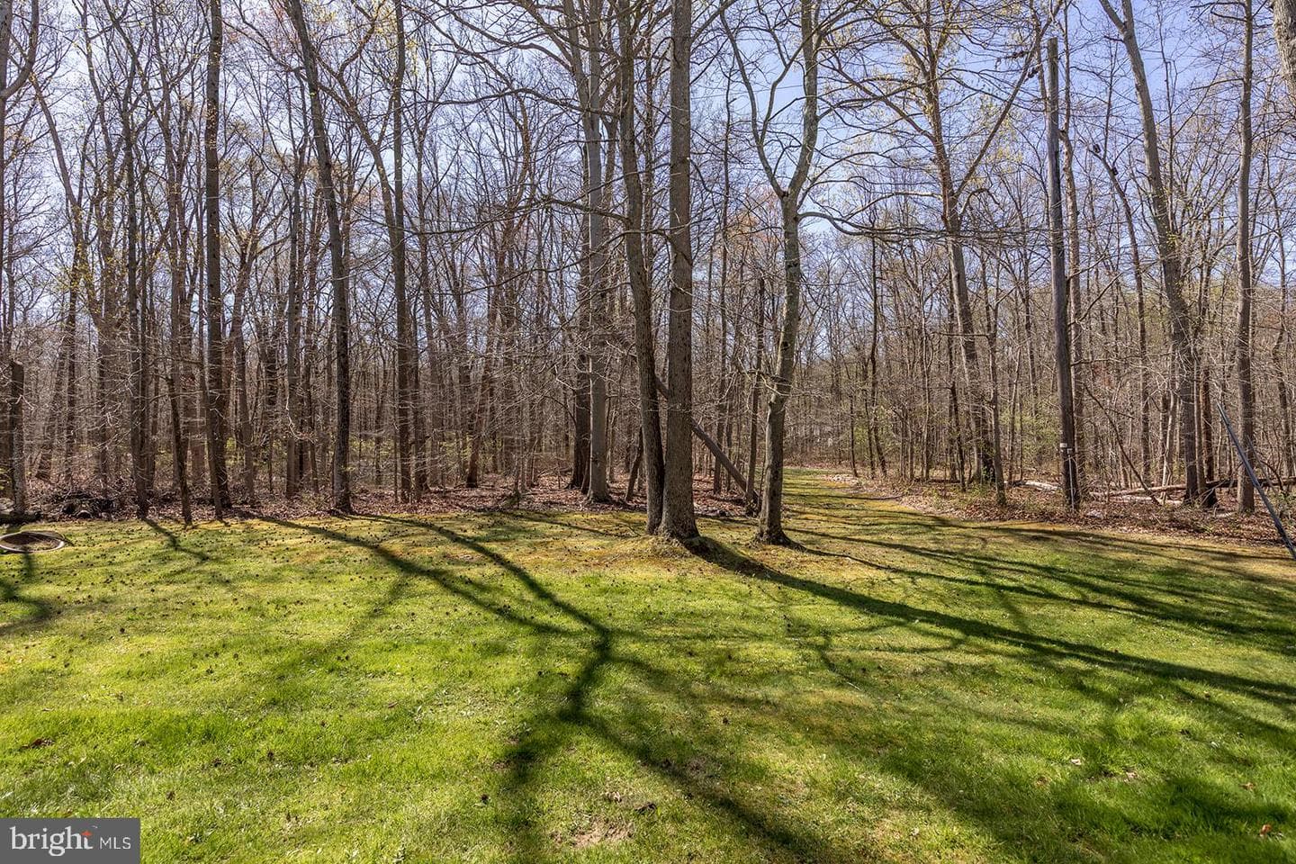 337 Woodland Green Ct Court photo 44