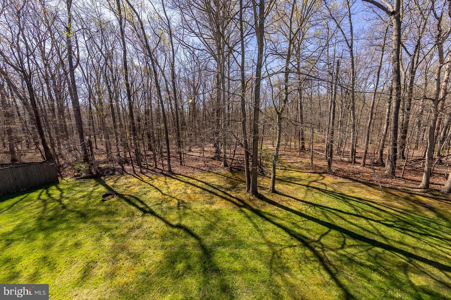 337 Woodland Green Ct Court photo 45