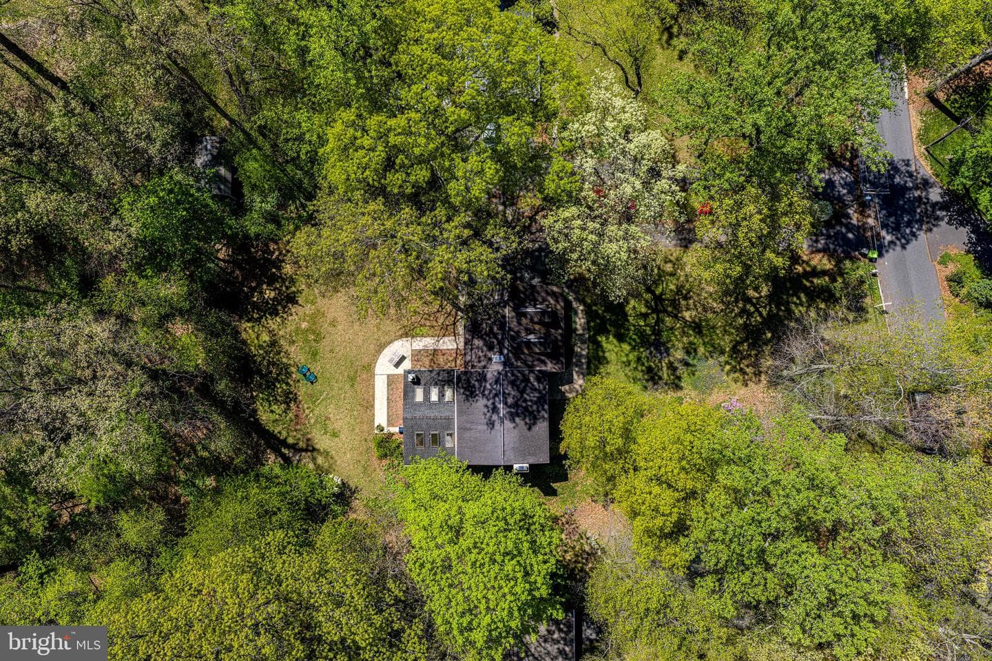 204 Woodland Drive photo 38