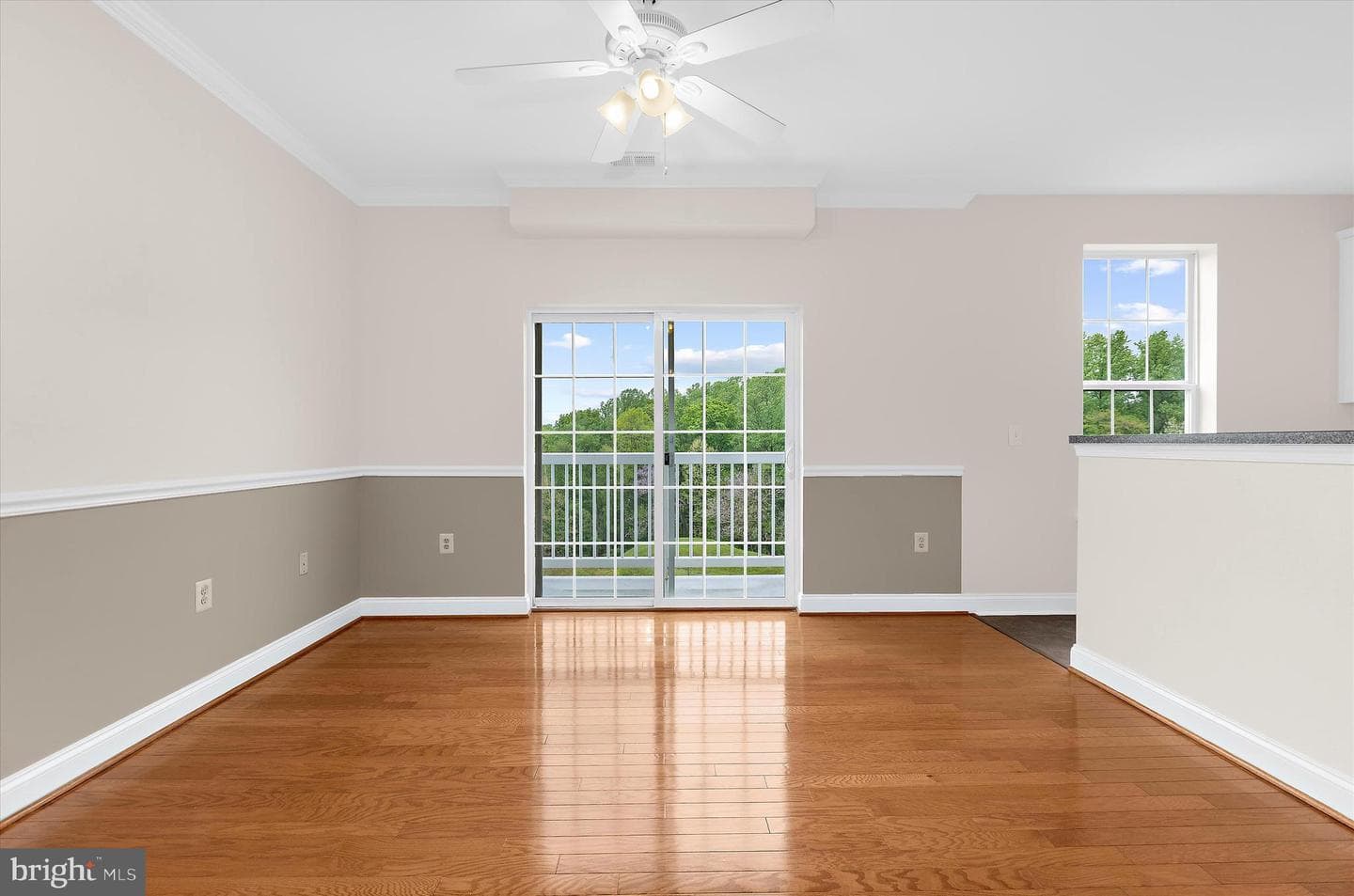 1815 Selvin Drive #204 photo 13