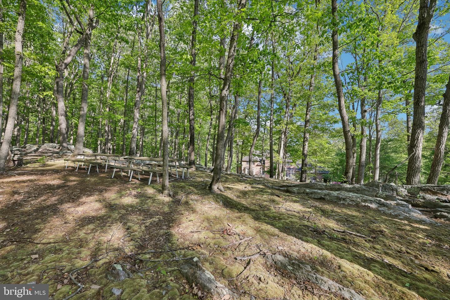 3632 Burkins Rd photo 88