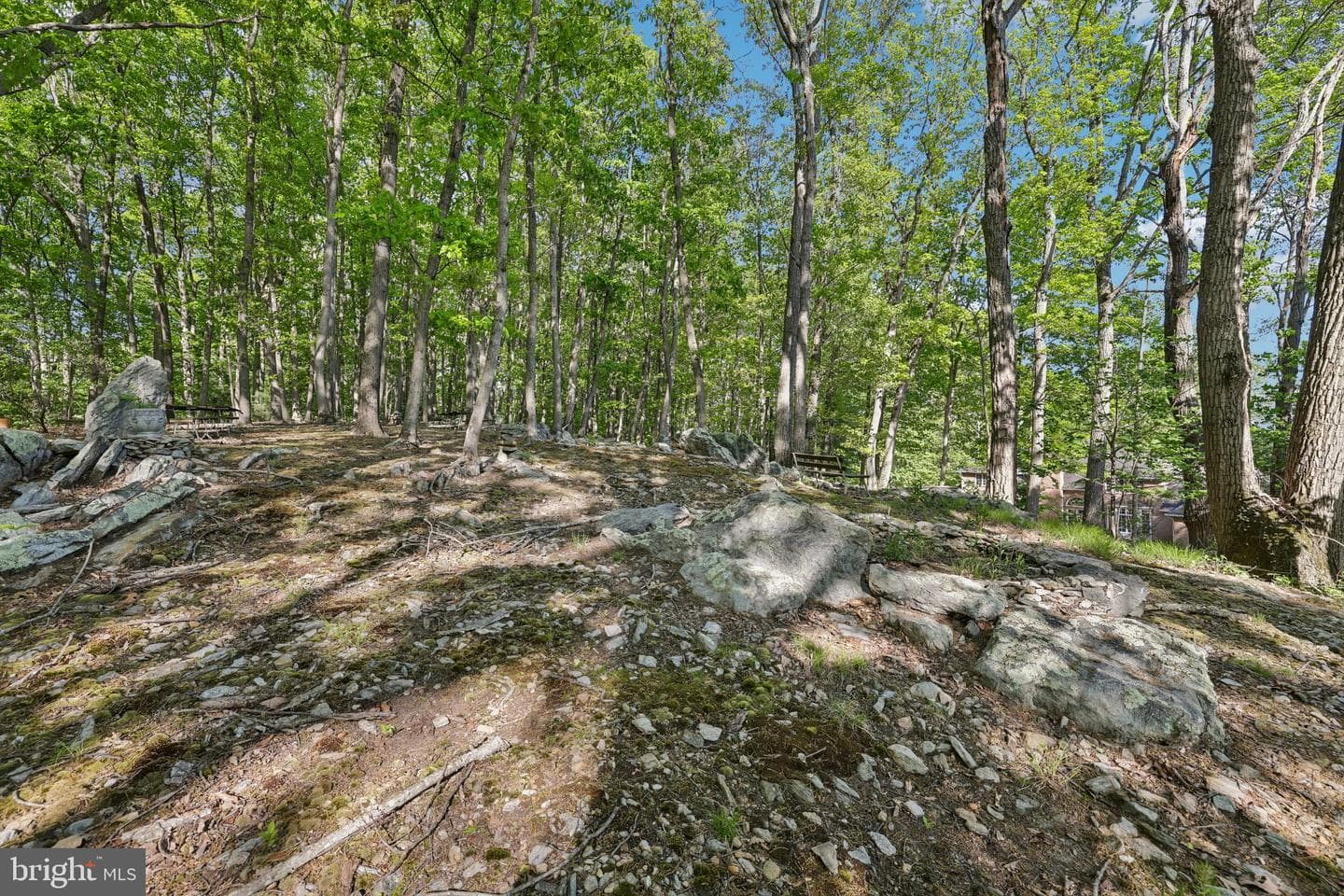 3632 Burkins Rd photo 89