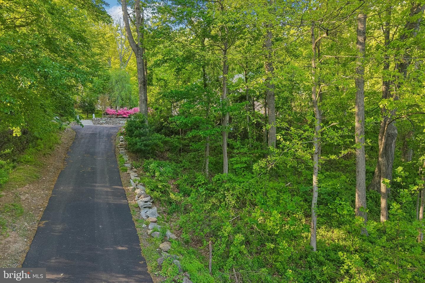3632 Burkins Rd photo 98
