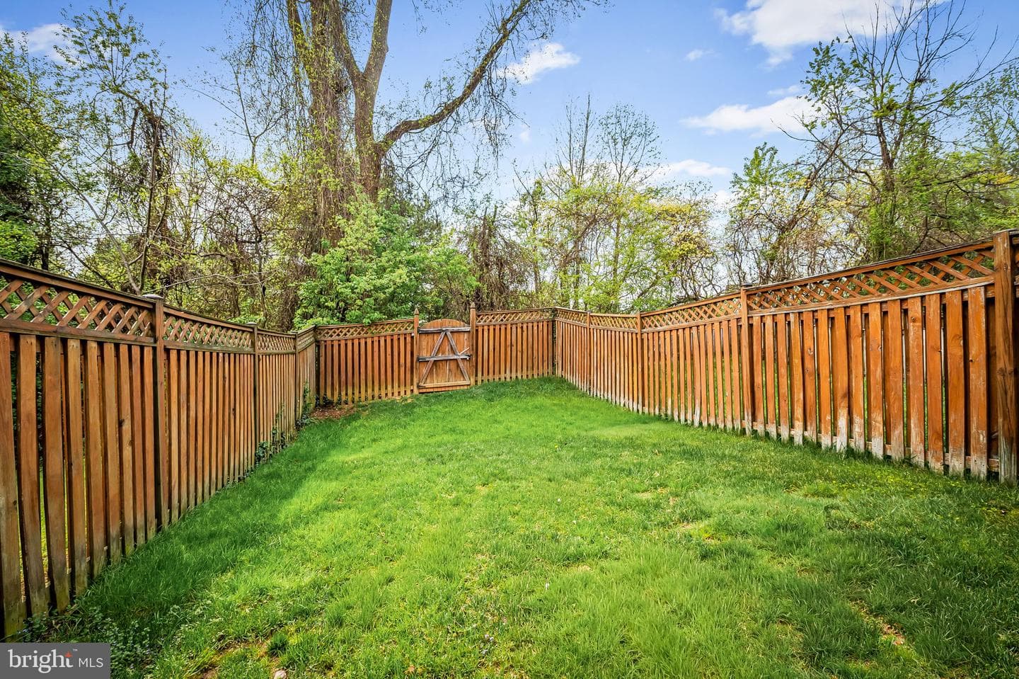 518 June Apple Court photo 36