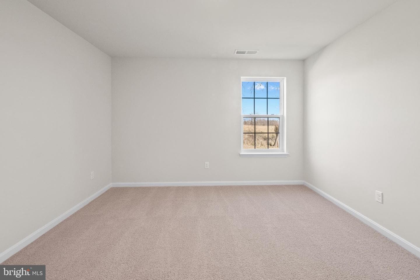 805 Spikeresh Way photo 13
