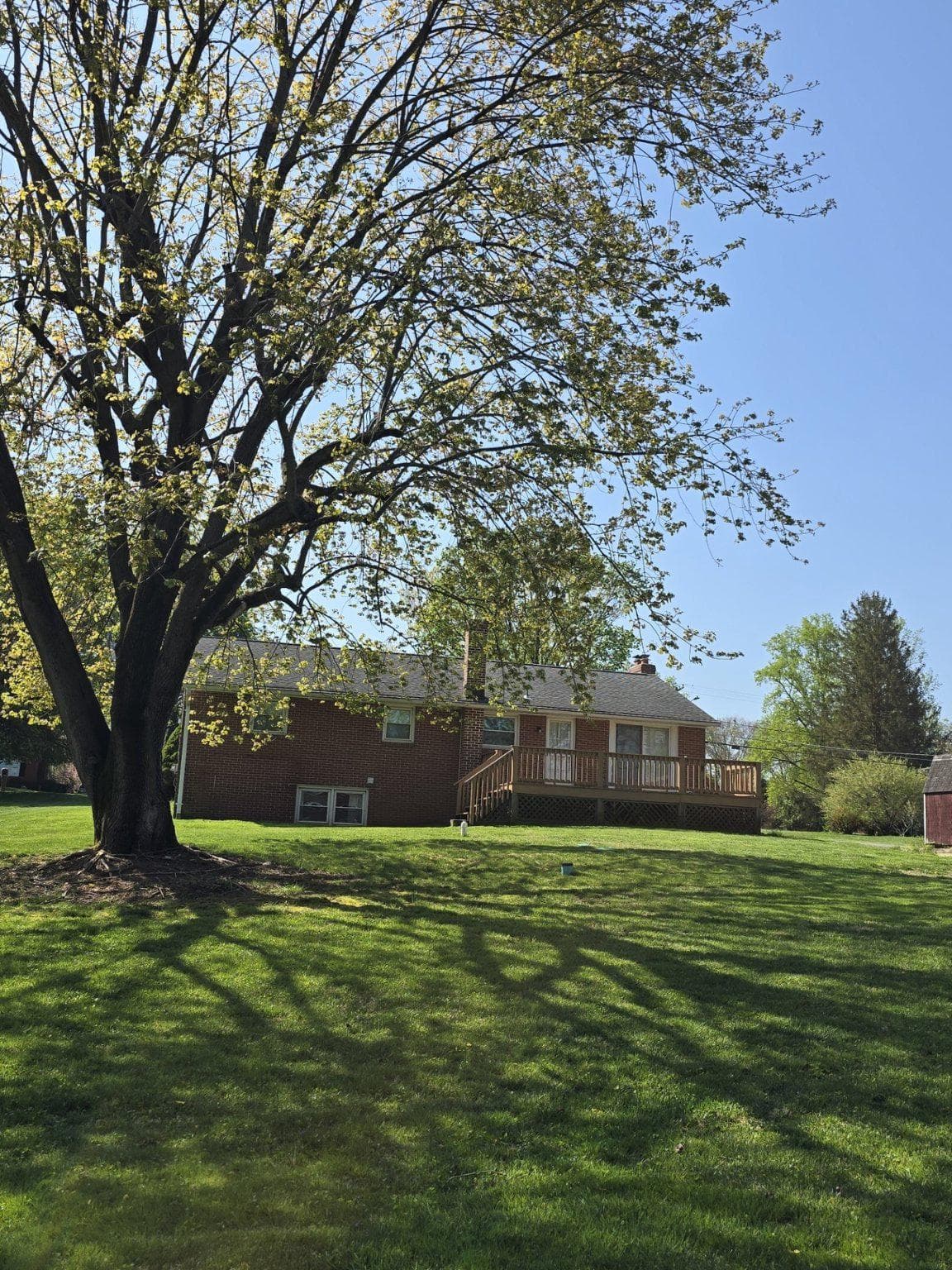 410 Plumtree Road photo 18