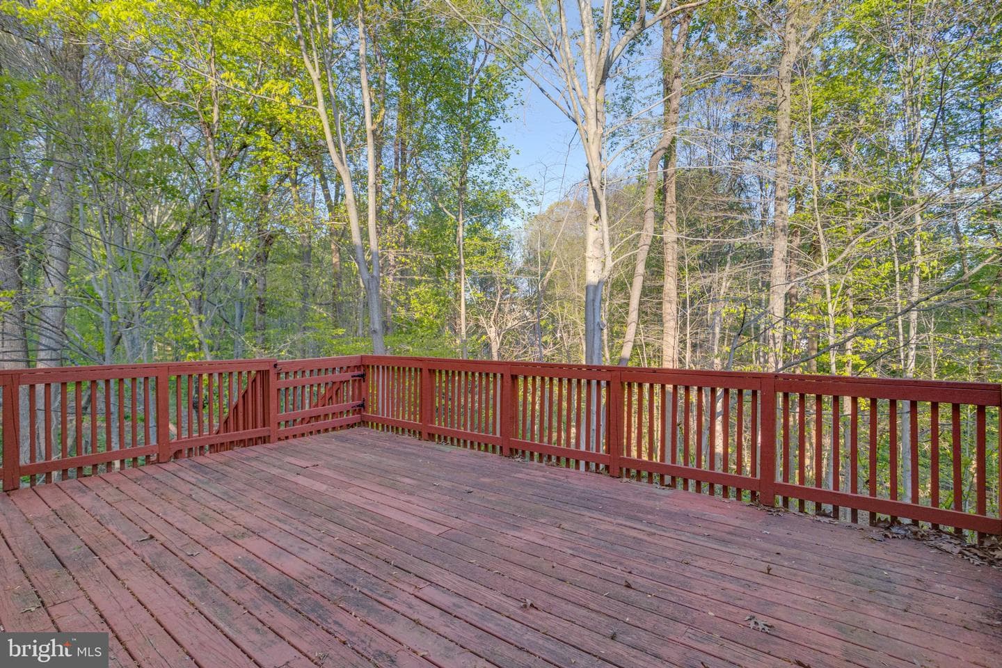 1143 Robin Hill Court photo 21