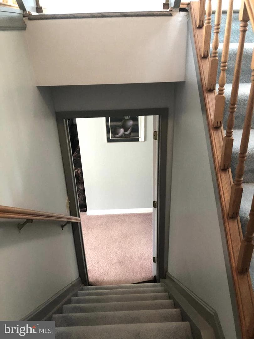 924 Buckland Place photo 21