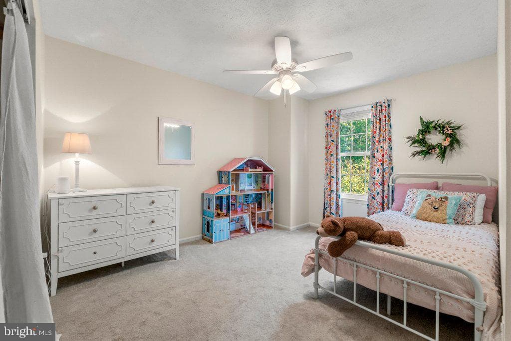 863 Ellicott Drive photo 22
