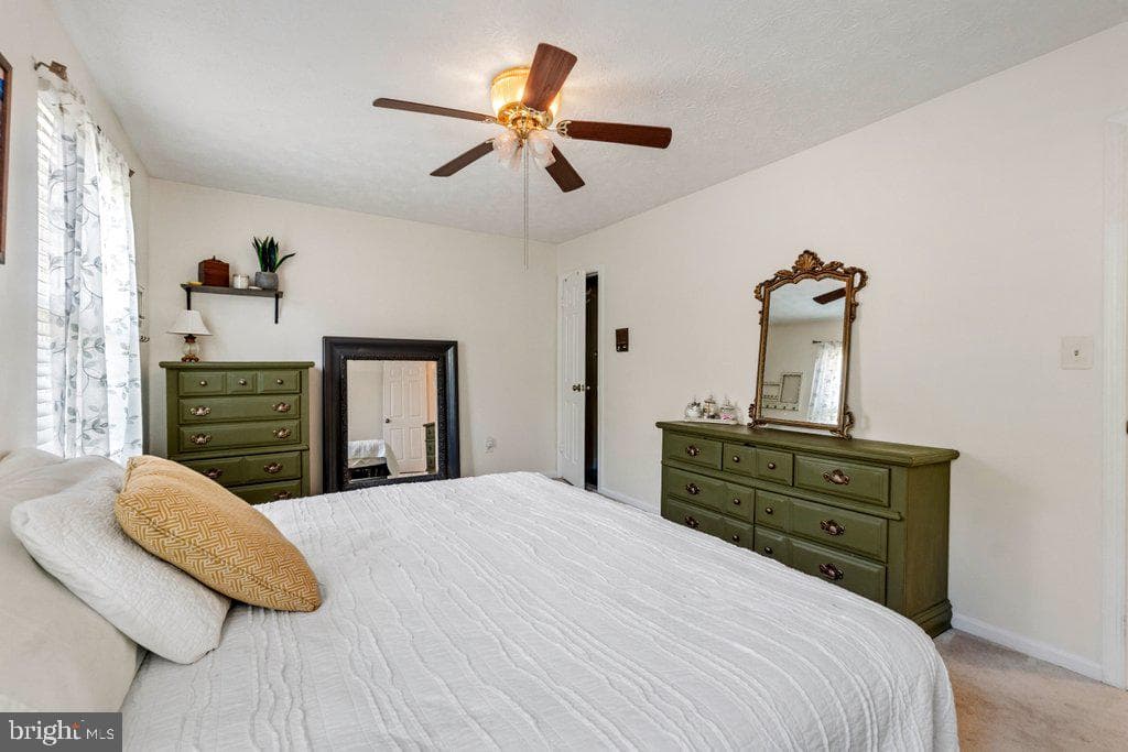 863 Ellicott Drive photo 27