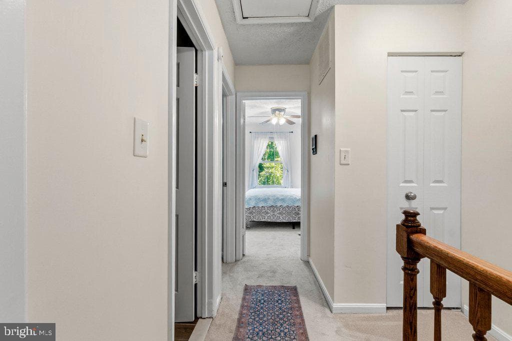 863 Ellicott Drive photo 28