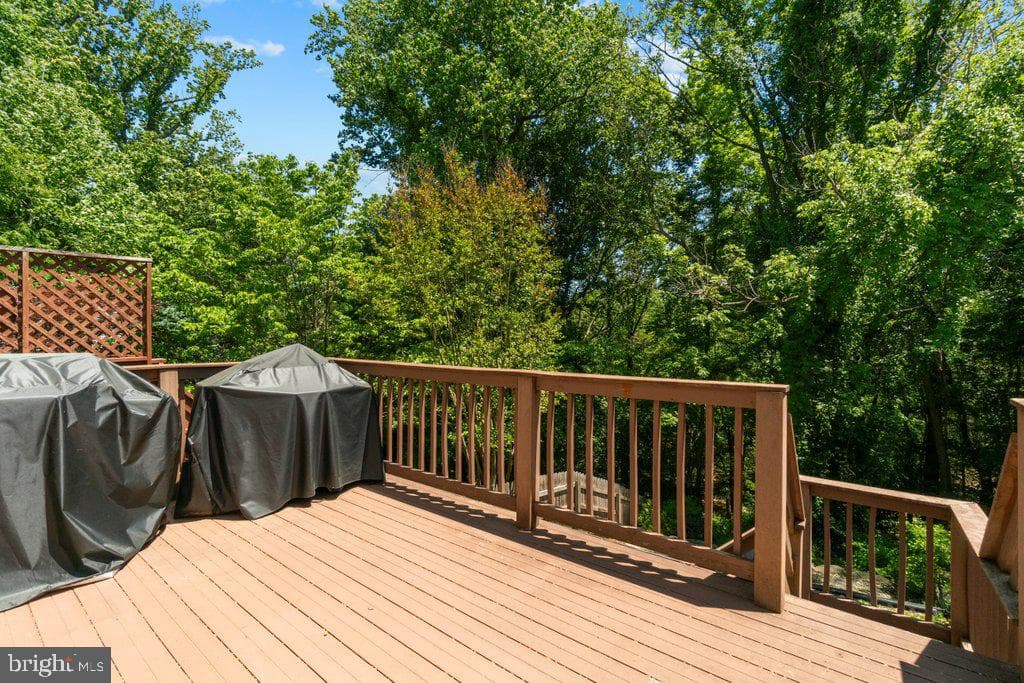 863 Ellicott Drive photo 35