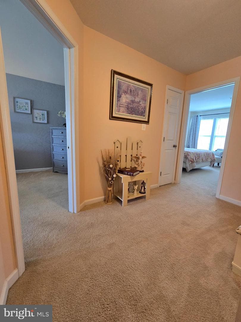 1438 Wellspring Drive photo 11