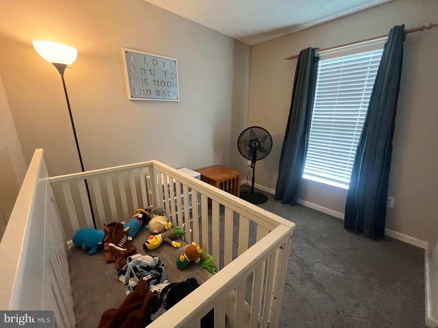 514 Macintosh Circle photo 19