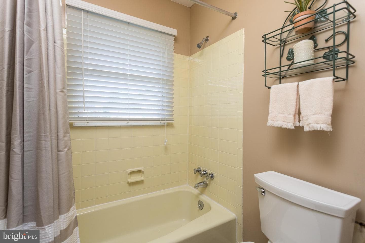 709 Bayberry Road photo 19