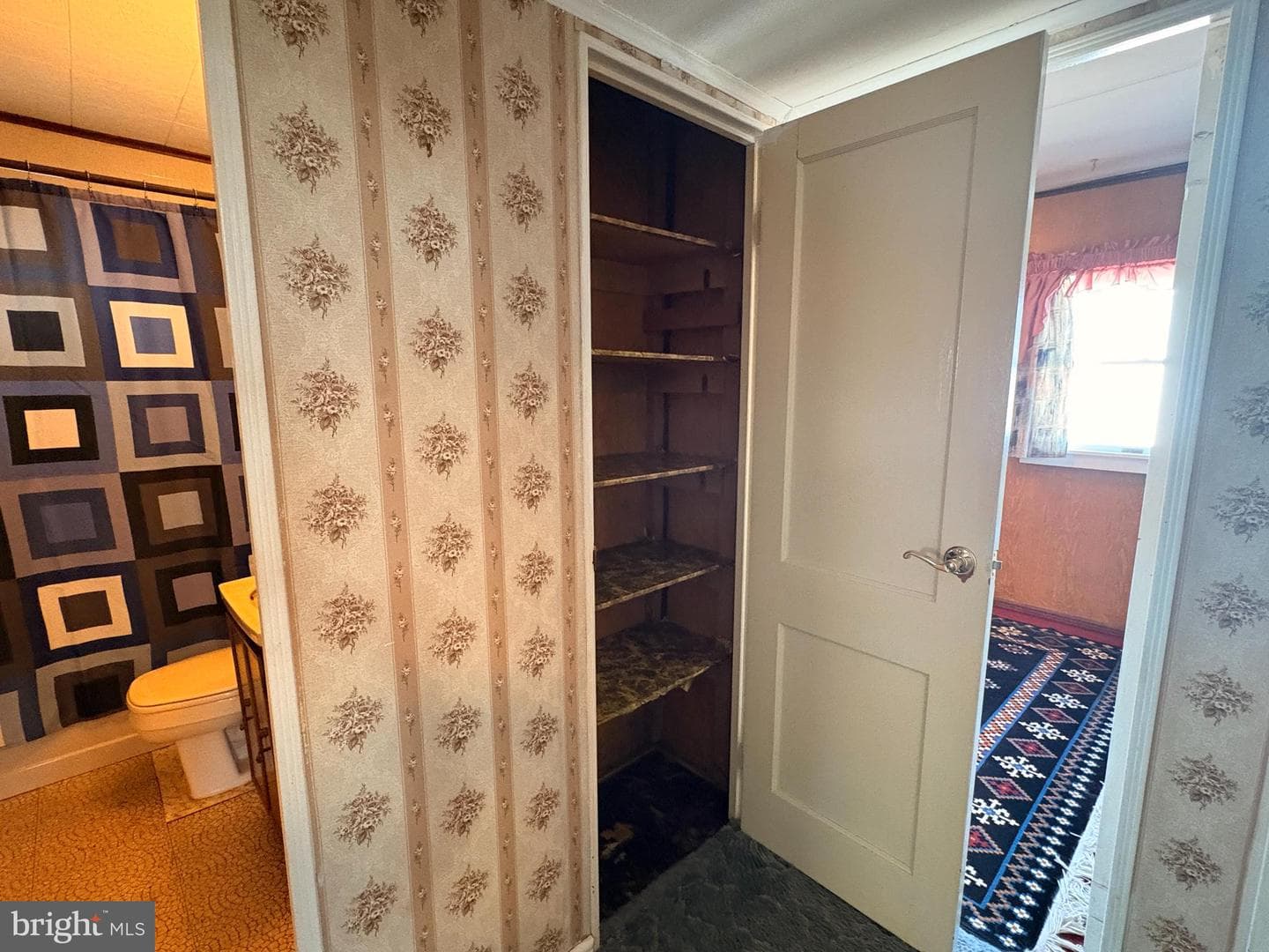 59 Moyer Drive photo 8