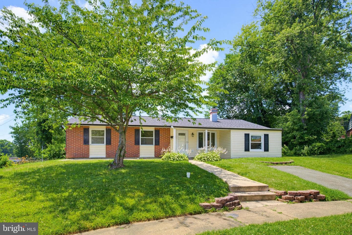 403 Ensor Court photo 38