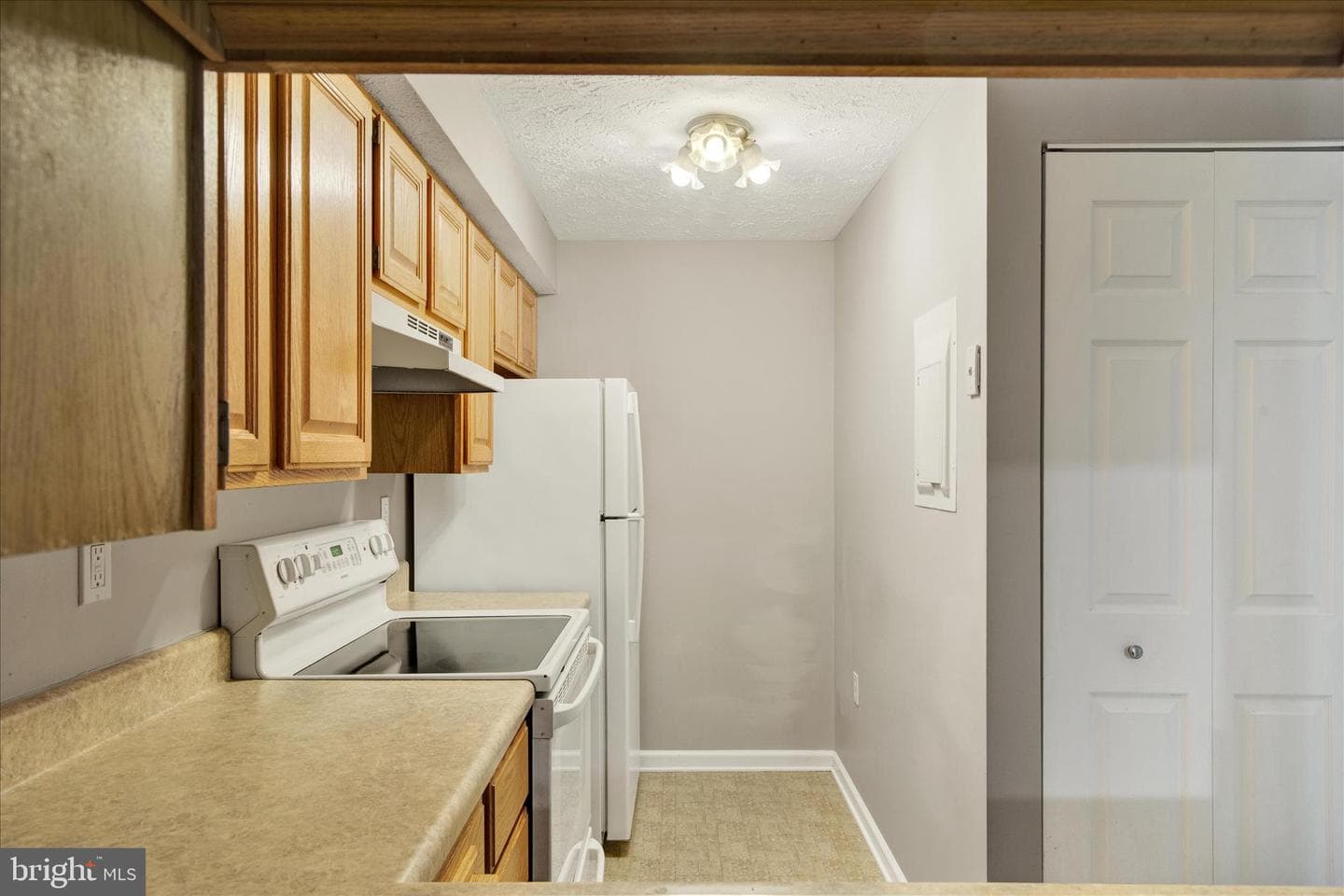209 Oak Leaf Circle #209-F photo 7