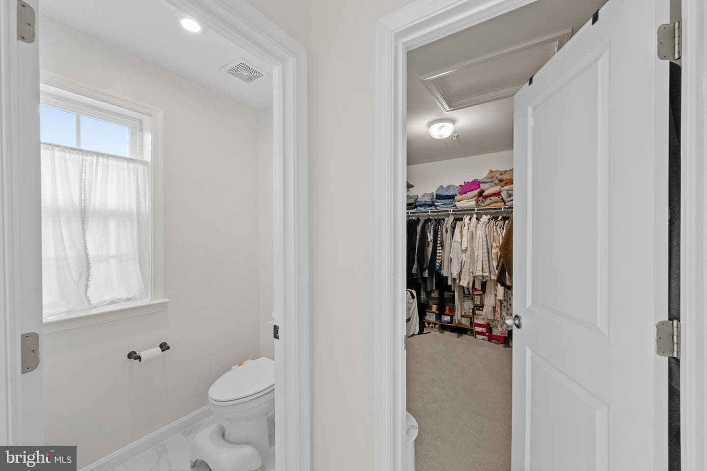 504 Tabasco Cat Court photo 31
