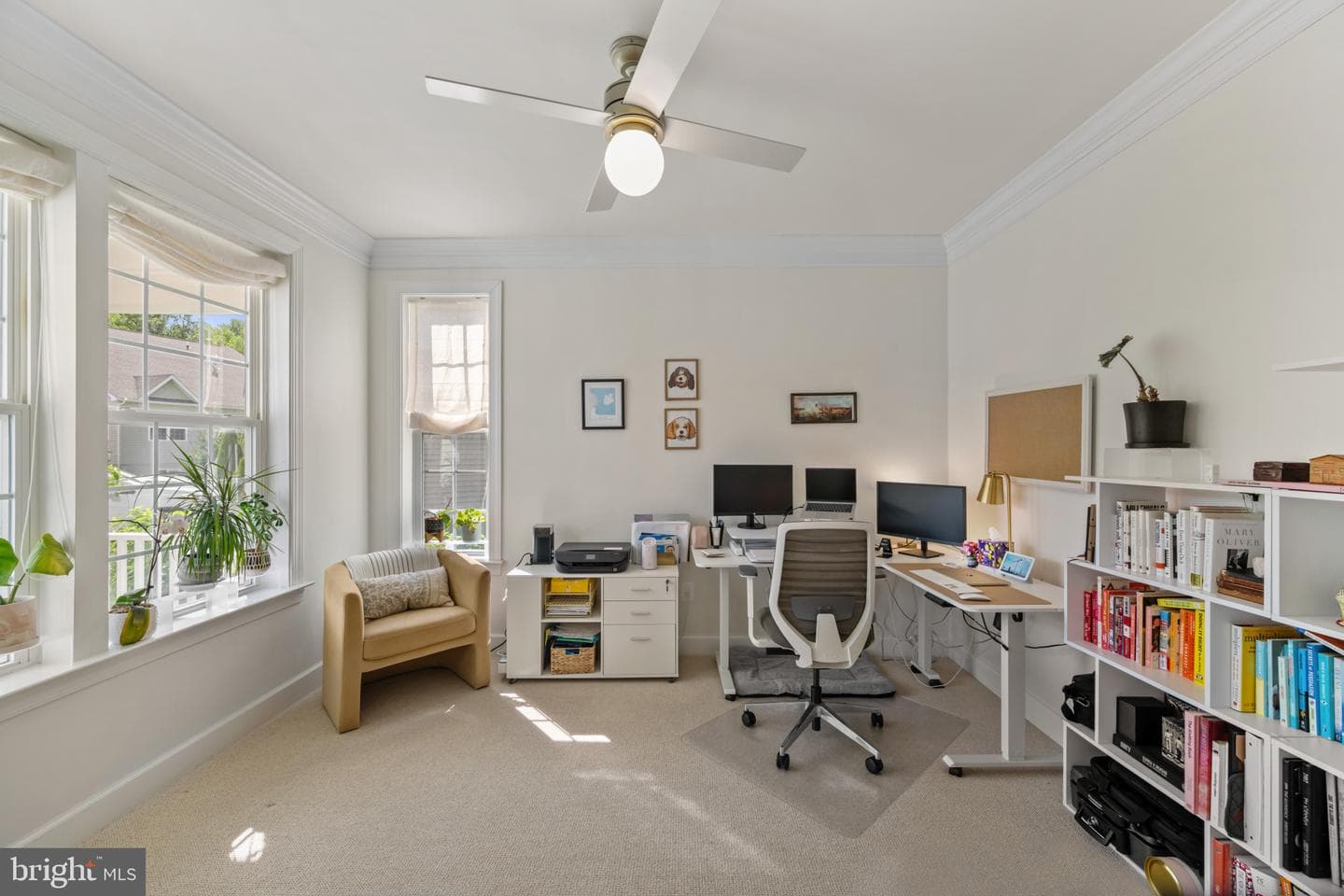 504 Tabasco Cat Court photo 7