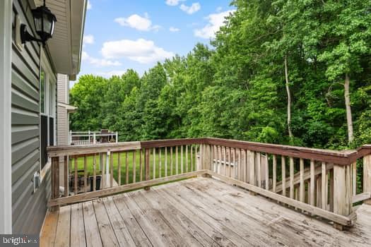 3825 Copper Beech Drive photo 13