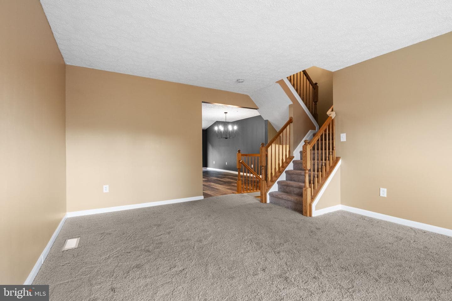 3825 Copper Beech Drive photo 3