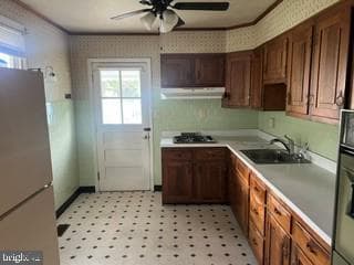 66 Dixon Avenue photo 6