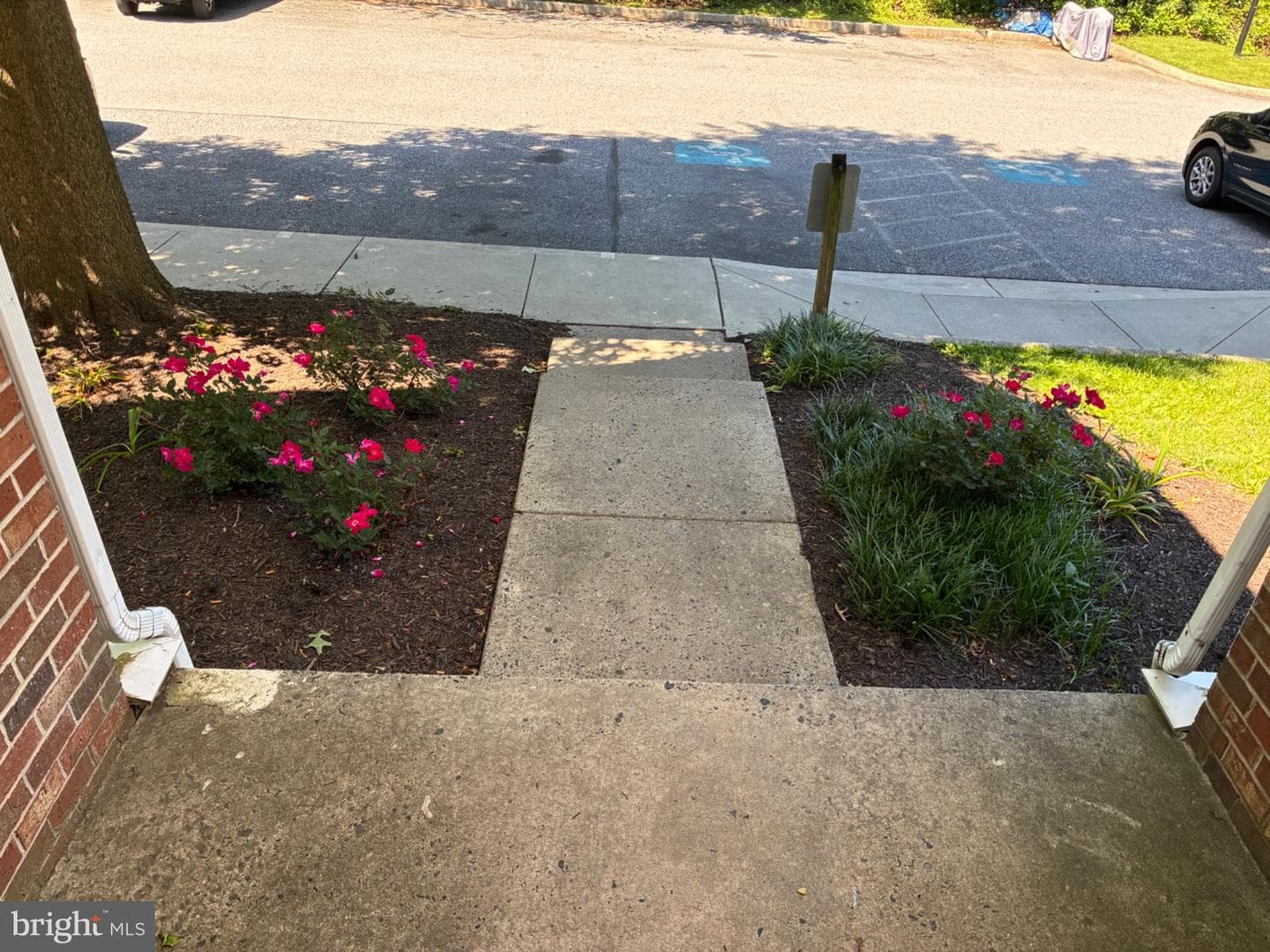 903 Woodbridge Court #f photo 43