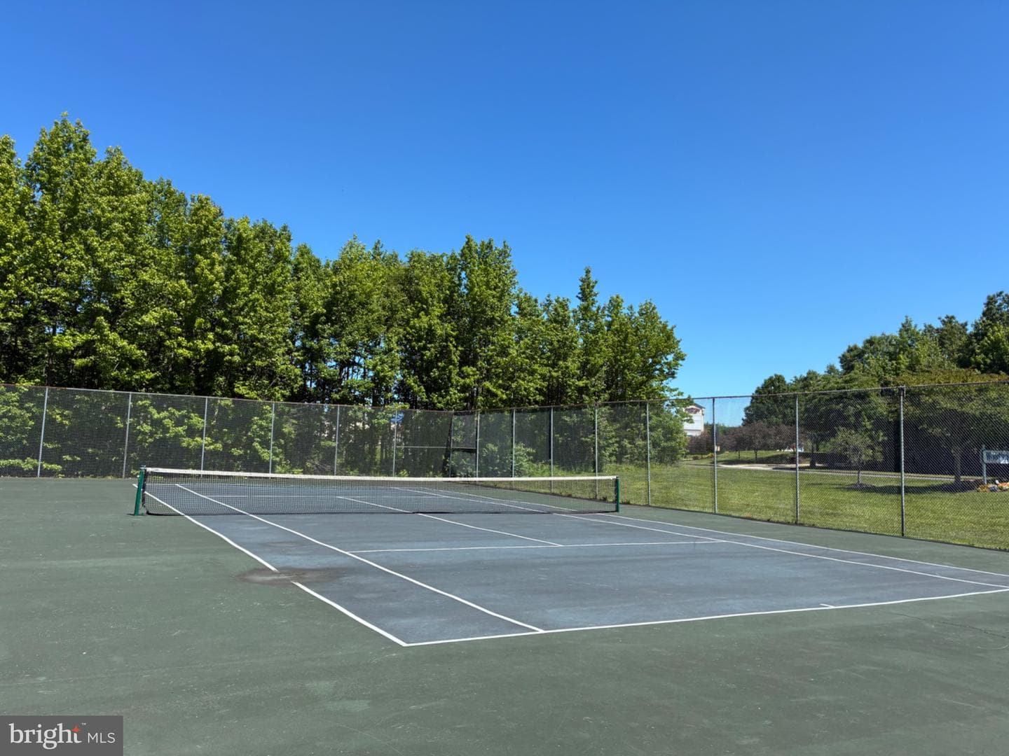 903 Woodbridge Court #f photo 5