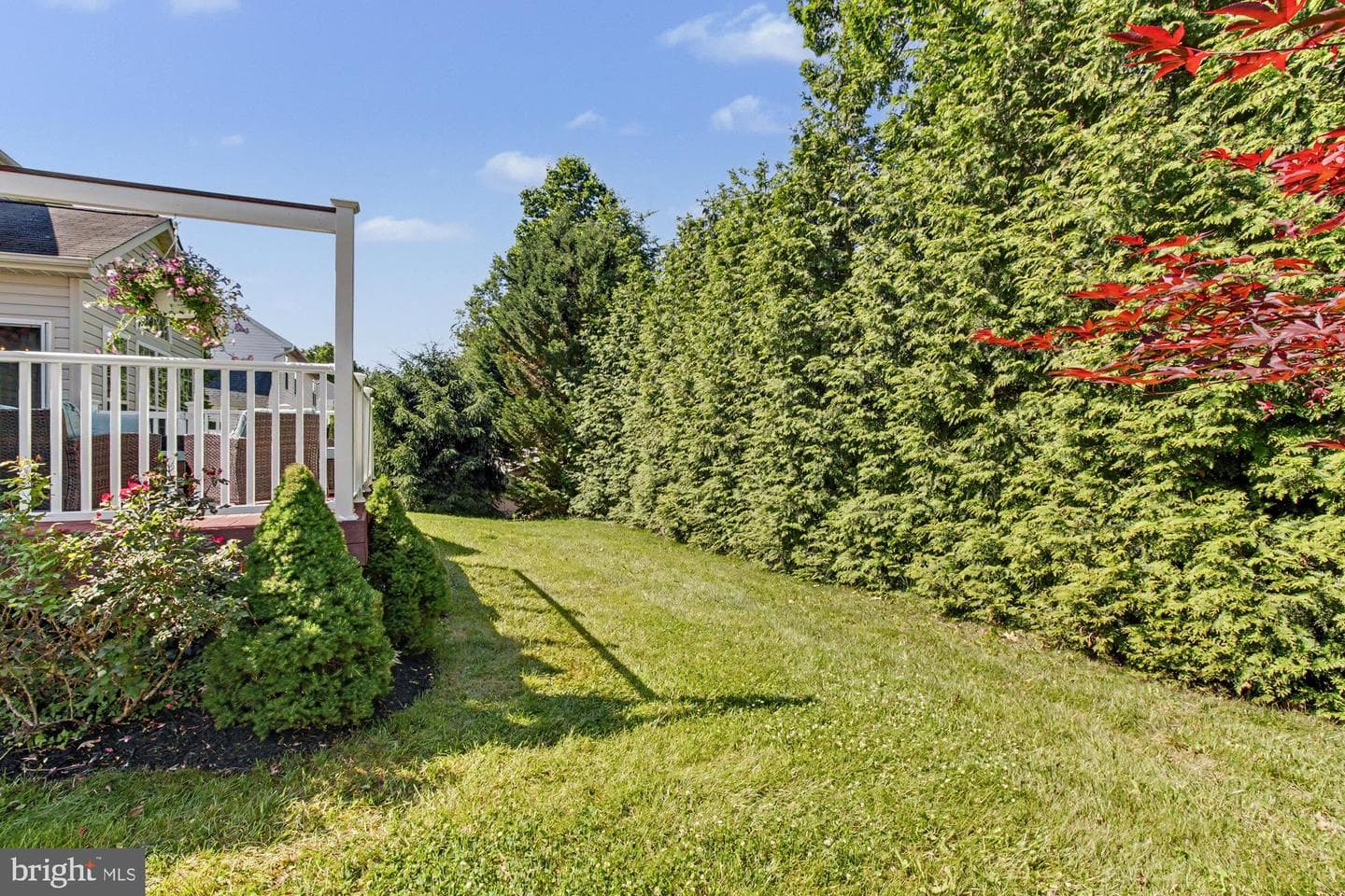 306 Loganwood Court photo 58