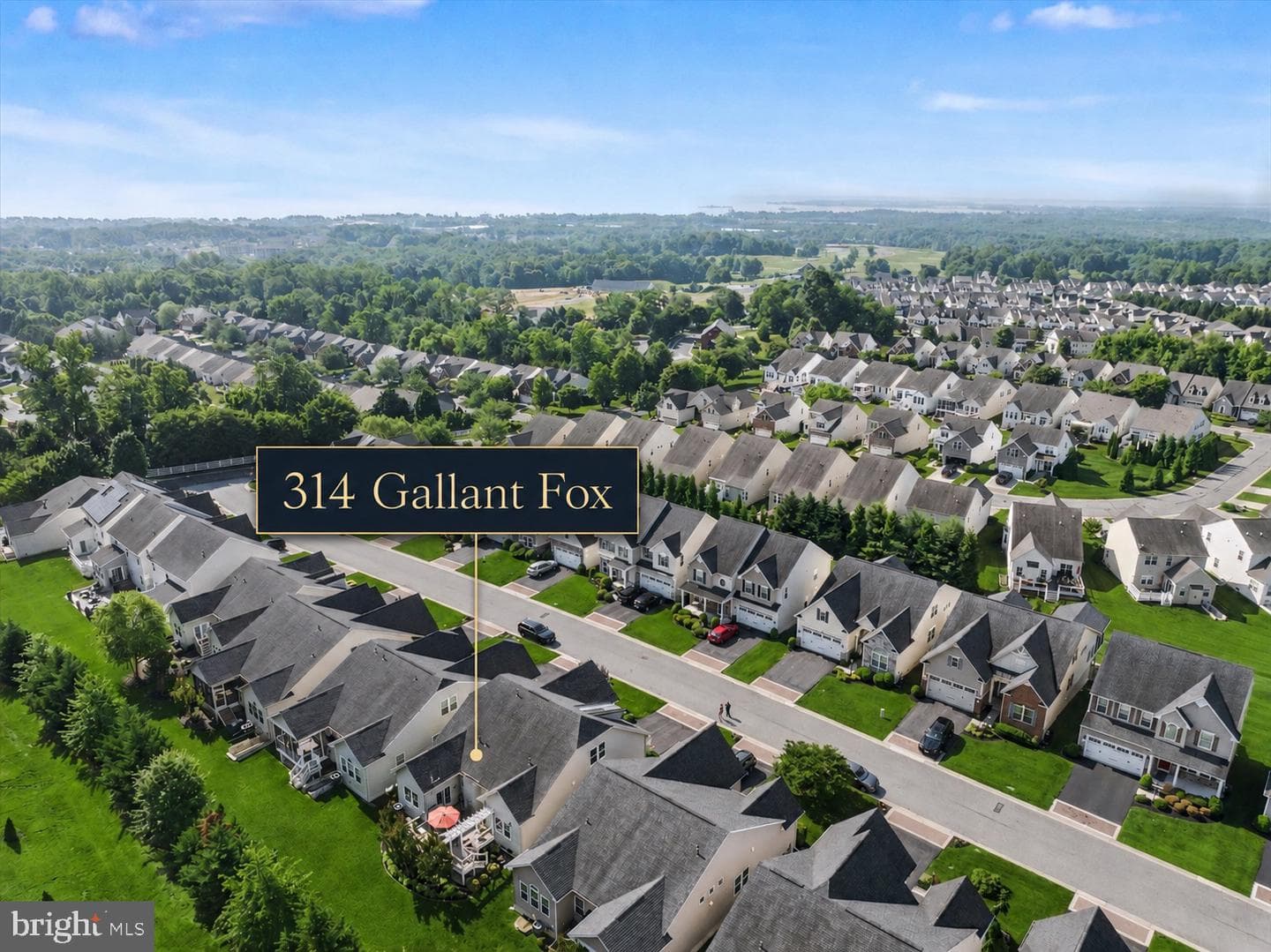314 Gallant Fox Drive photo 52
