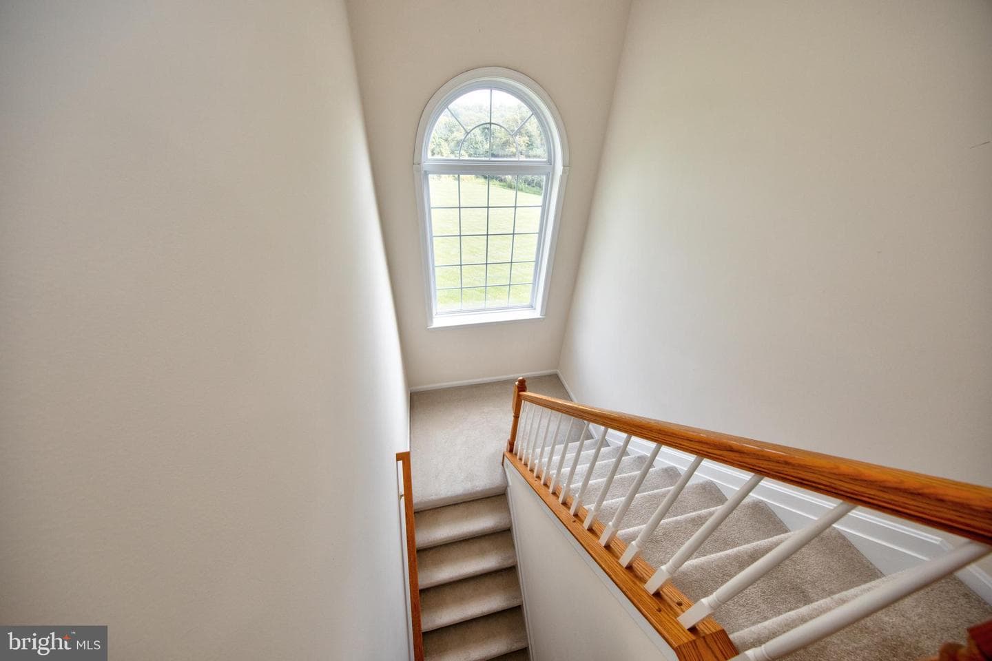 1205 Bear Hollow Court photo 39