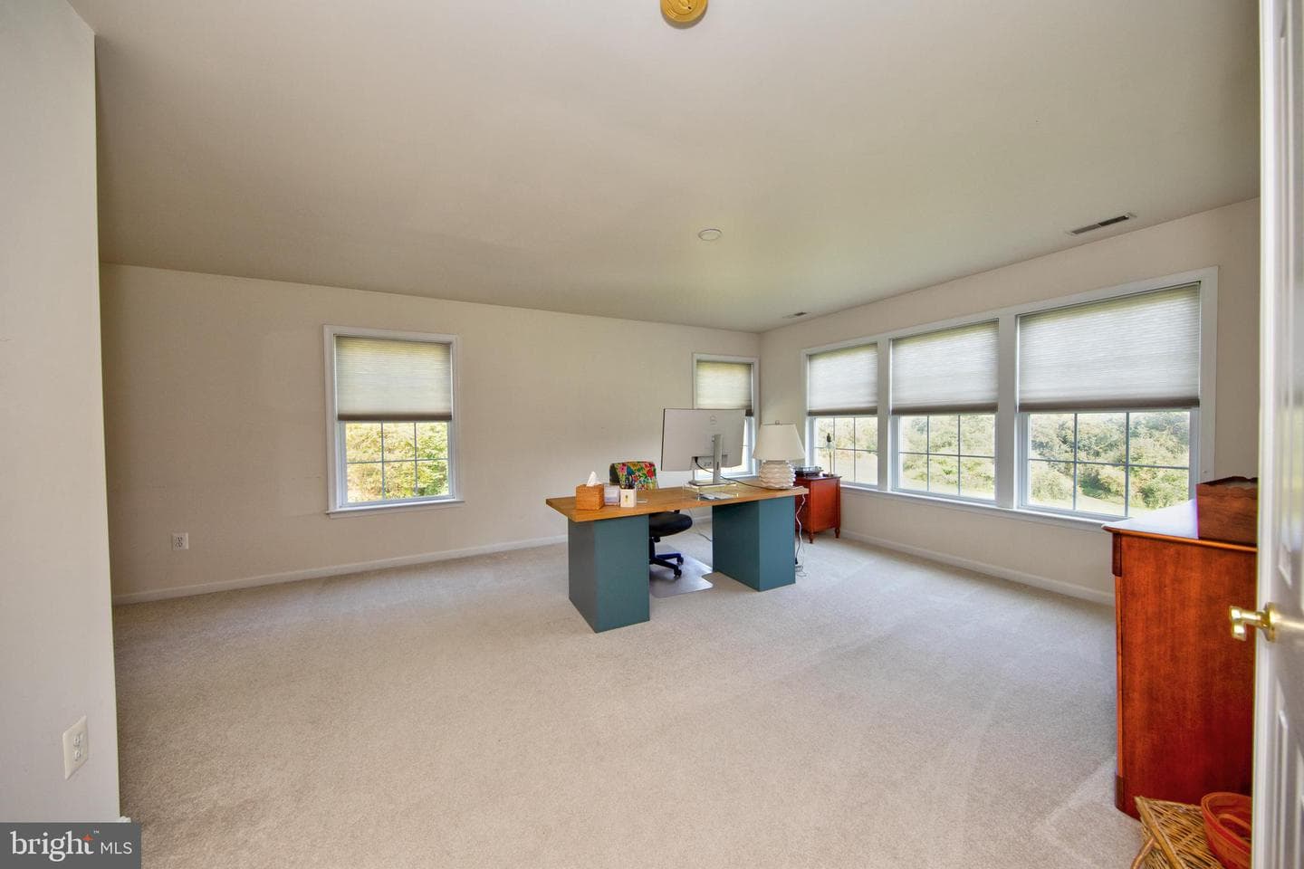 1205 Bear Hollow Court photo 45