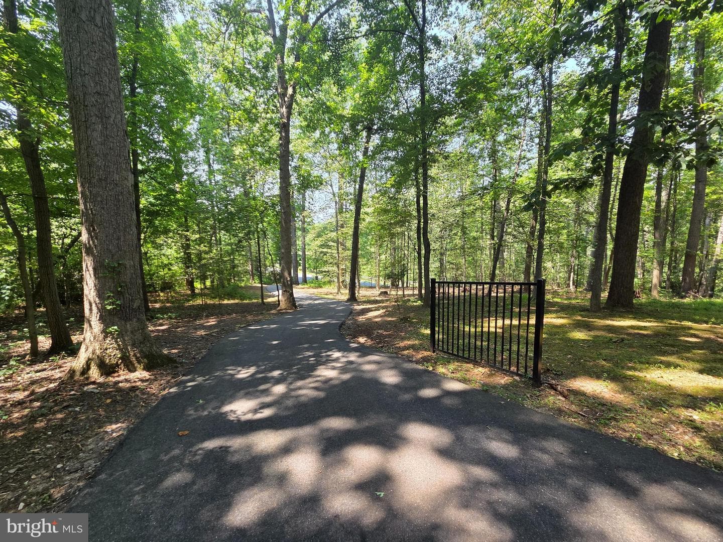 901 Southampton Road photo 4