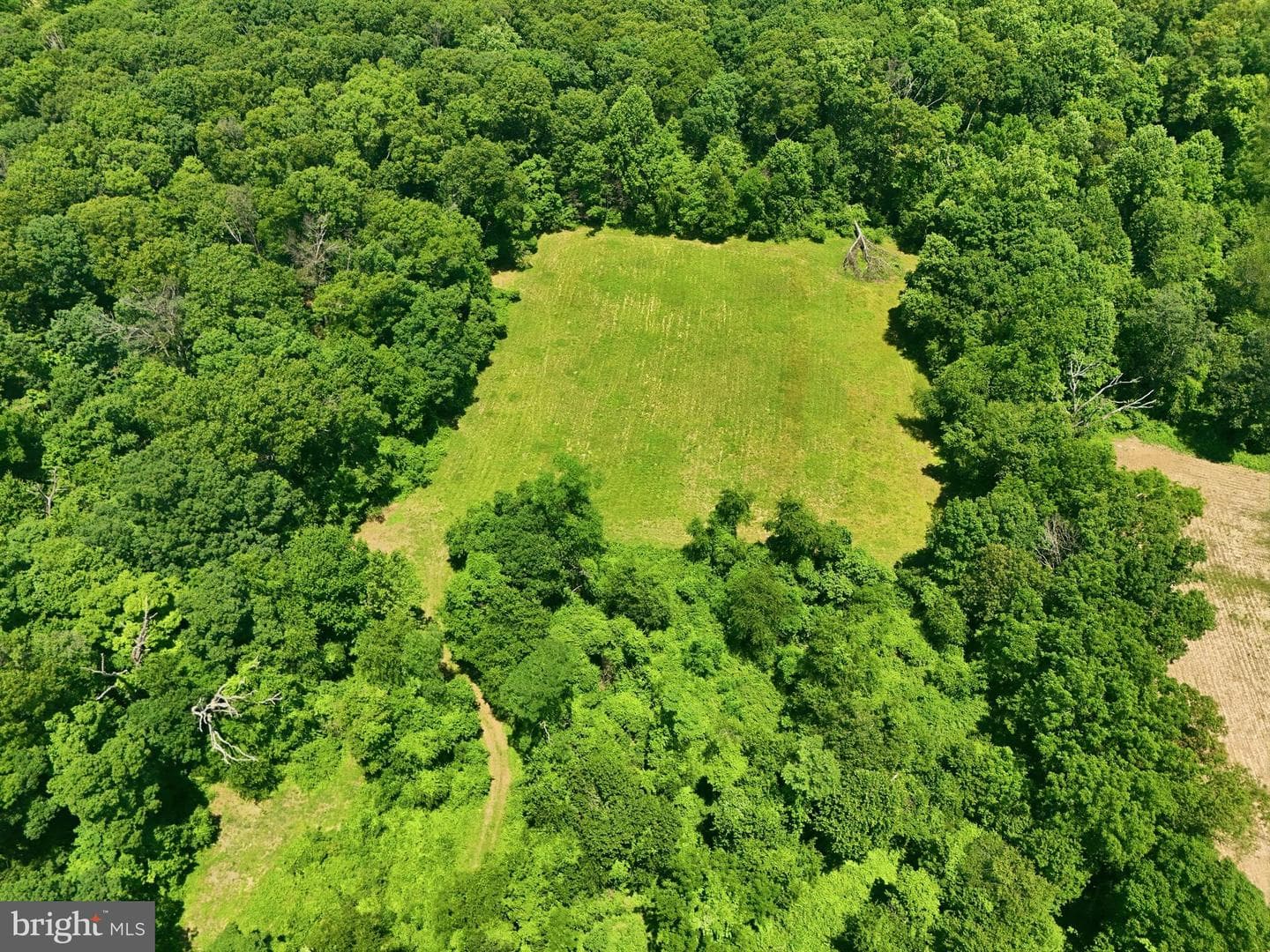 3555 Mill Green Road photo 103