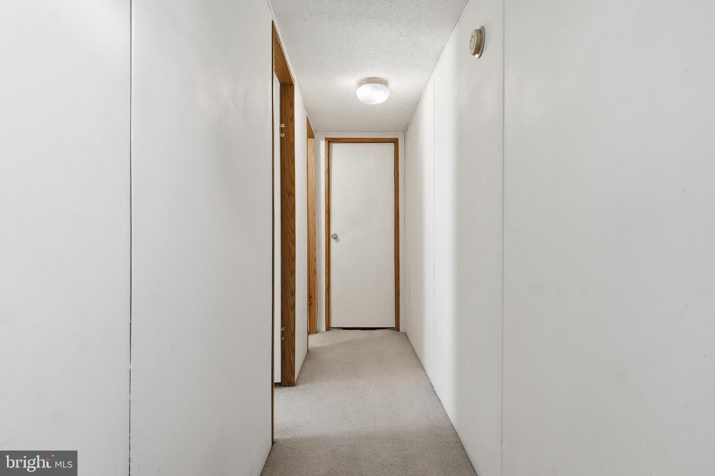 3555 Mill Green Road photo 54